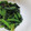 daikanon's cooksnap of when they made ♪ほうれん草の海苔和え♪.