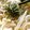 R1206's cooksnap of when they made 超簡単ランチ♬明太クリームうどん.