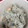 ♡YSKKK♡'s cooksnap of when they made 鮭の西京漬けで黒ゴマご飯.