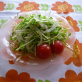 クレイプメートル's cooksnap of when they made 新玉ねぎと豆苗のさっぱり生姜サラダ.