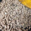 じぇじぇじぇママ's cooksnap of when they made 豚挽肉だけの塩そぼろ.