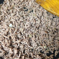 じぇじぇじぇママ's cooksnap of when they made 豚挽肉だけの塩そぼろ.