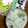 ポジティブぱんだ's cooksnap of when they made ジジの豆ご飯　裏ワザ？.