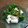 礼武（らいぶ）'s cooksnap of when they made 長芋と菜の花の和え物.