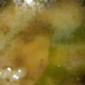 アトムガール's cooksnap of when they made 天ぷらinお味噌汁.