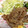 こぱんだあかね's cooksnap of when they made 玉ねぎ漬けの生姜焼き(o^^o).