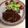 yukikenkou's cooksnap of when they made UNO！ハンバーグ.
