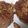 teto_rion's cooksnap of when they made 大葉のふっくらハンバーグ×ステーキソース.