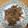 たむおう's cooksnap of when they made 豚とたっぷりキノコの香り炒め.