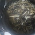 ＤＯＮchan's cooksnap of when they made まいたけごはん.