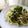PARNELL's cooksnap of when they made 大根葉の昆布茶和え.