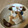 ちゃこ0320's cooksnap of when they made 厚揚げ豆腐の大根おろしのせ.