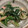 ごちそうさま３９'s cooksnap of when they made わけぎの和え物.