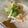 kana叶's cooksnap of when they made ＊大根と水菜のサラダ＊.