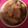 rusery's cooksnap of when they made 簡単！美味しい、サバと大根のみそ煮.