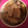 rusery's cooksnap of when they made 簡単！美味しい、サバと大根のみそ煮.