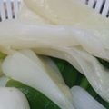 みぃみぃみぃみぃさん's cooksnap of when they made わけぎの茹で方.