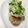 Aちゃんシン's cooksnap of when they made パパ絶賛！豆腐ハンバーグ.