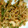 syusyutaro's cooksnap of when they made もやしとちくわのあっさりかつぶしいため.