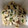 ハムッチョ's cooksnap of when they made 簡単おつまみ☆鶏皮の柚子胡椒あえ.