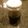 のりこぐま's cooksnap of when they made 美味しい手作りポン酢.