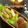＊ラビママ＊'s cooksnap of when they made フライパンで簡単！ポテトの旨炒め蒸し焼き.