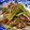 めけてー's cooksnap of when they made 料理酒で大根の皮のきんぴら.