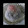 wn98's cooksnap of when they made いちご大福　電子レンジで意外と簡単！.
