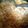 サイゼマン's cooksnap of when they made ★簡単★豚牛丼！（≧∇≦）.