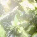 ハロ　ルド's cooksnap of when they made 春キャベツとわかめのスープ.
