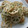 kyoko＊k's cooksnap of when they made れんこんの磯辺炒め.
