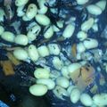 yotms's cooksnap of when they made 大豆、人参、蒟蒻、ひじき、油揚げの煮物.