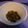 ＹＯＵＲＹＵ's cooksnap of when they made ✿大根の葉とじゃこの佃煮✿.