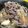Chakorin♪'s cooksnap of when they made 肉じゃが(基本).