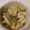 とむひま's cooksnap of when they made ささみときゅうりの胡麻和え.