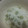 めい太＆ぽこ太's cooksnap of when they made 我が家の豆ごはん　～昆布だしで～.