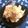 Maimyumi's cooksnap of when they made キャベツと梅肉の和え物.