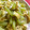 羽尼うに's cooksnap of when they made ふきと油揚げの煮物❁.
