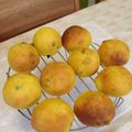 ＊まいいこ＊'s cooksnap of when they made ほんのり甘い♡かぼちゃパン.