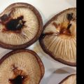 せつせつせつ's cooksnap of when they made 簡単めちゃうま！椎茸焼き.