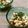 えん93's cooksnap of when they made 春色＊セロリと卵と納豆のまぜまぜ〜.