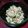 saruk1's cooksnap of when they made 春の香り♪フキノトウとハムの卵サラダ.