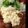 トッポ314's cooksnap of when they made 家族も喜ぶ簡単チキン南蛮.