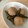 てまつなおみ's cooksnap of when they made 冷凍さといもで♪＊煮ころがし＊.