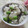 miyuki12's cooksnap of when they made 簡単♪美味しい ～ 枝豆ご飯 ② ～.