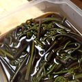 ＊トイ＊'s cooksnap of when they made お鍋で2分♪《簡単》ワラビの煮浸し☆.