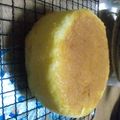 たこ＠福岡's cooksnap of when they made パティシェのジェノワーズ♡シフォン風.
