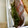 ぽんこ♡'s cooksnap of when they made ★小さなおかず★豆苗の胡麻和え.