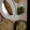 りょーみー's cooksnap of when they made レンジで簡単、ほうれん草のおひたし☆.