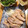 momomoホイップ's cooksnap of when they made 簡単で失敗なしの蒸し鶏.
